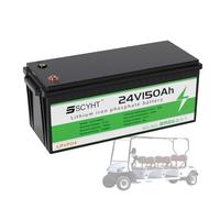 SSCYHT Batteria al litio 24 V 100 Ah 150 Ah Batteria LiFePO4 24 V Batterie a ciclo profondo per camper, solari e off-grid per kit motore da 500 W a 3840 W,24v150ah 240mm
