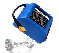 SSCYHT Batteria al litio 25,2 V Batteria per hoverboard 4 Ah Batterie ricaricabili 6S Batterie agli ioni di litio per motori 50 W a 100,8 W con porta XT60 e scocca PVC,25.2v4ah 1pack