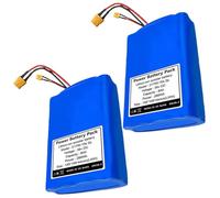 SSCYHT Batteria al litio 36V 8Ah Batteria ricaricabile 8Ah Batterie per scooter 10S2P Batterie di ricambio per kit motore da 200W - 300W con BMS,36v8ah 2pack