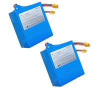 SSCYHT Batteria al litio 43,2 V 5 Ah Batteria skateboard 43,2 V Batterie agli ioni di litio 5 Ah Batterie monopattino per 2S Pro 2S Max 3X 3E per motore 50 W a 216 W,43.2v5ah 2pack