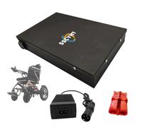 SSCYHT Batteria al Litio da 24 V per Piccola Sedia a rotelle elettrica | Batteria di ricambio ricaricabile 24V 10Ah 12Ah 15Ah 16Ah 19,2Ah per veicoli a pedalata assistita o veicoli mobilità