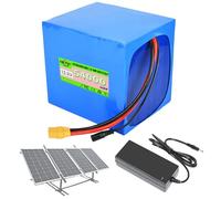 SSCYHT Batteria LiFePO4 12,8 V Batteria al litio 48 Ah 54 Ah 42 Ah Batterie scooter 12,8 V Batterie di ricambio per pannelli solari per motore 250 W a 700 W con BMS,12.8v54ah xt90