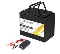 SSCYHT Batteria LiFePO4 12V 100Ah 50Ah Batteria al litio 12V Batterie ricaricabili per energia solare per motori da 500W a 1200W con caricabatterie e maniglia,12v50ah 196mm