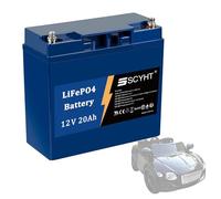 SSCYHT Batteria LiFePO4 12V 20Ah Batteria al litio 20Ah Batterie rimovibili 12V Batterie di ricambio per auto elettrica giocattolo per motori 50W a 250W,12v20ah 1pack