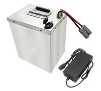SSCYHT Batteria LiFePO4 48V 50Ah 60Ah Batteria al litio 72V 30Ah 40Ah 20Ah Batterie ricaricabili 60V per moto triciclo con caricabatterie per kit motore 250W a 2900W,60v30ah 280mm