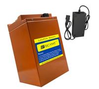 SSCYHT Batteria LiFePO4 72V 60Ah Batteria al litio 60V 40Ah 50Ah 70Ah 80Ah Batterie di ricambio 48V per moto elettrica con caricabatterie e maniglia,60v70ah 340mm