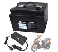 SSCYHT Batteria ricaricabile 48V 25Ah 15Ah Batteria al litio 60V 20Ah 13Ah Batterie agli ioni di litio 36V 30Ah 10Ah Batterie moto per motori 250W a 1200W con caricabatterie,60v10ah
