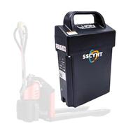 SSCYHT W/Light 24v20ah, Batteria Litio per Carrello elevatore 24V 20Ah Batteria di Ricambio 24 Volt per transpallet Elettrico, per Camion logistici/Motore per Camion di carico e Scarico