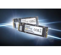 Intenso 3836450 drives allo stato solido M.2 500 GB PCI Express 4.0 NVMe