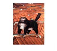 SSLDP LFHLI Fernando Botero Poster Fat Art Cat Family Wall Art Fernando Botero Tela Pittura e Stampe Moderna Decorazione per la Casa Immagine 40x60cmx1 Senza Cornice