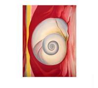 SSLDP LFHLI Georgia O'Keeffe Poster Astratti《Shell》Tela Arte murale Georgia O'Keeffe Pittura e Stampe per Immagini di Arredamento Moderno 50x70cmx1 Senza Cornice