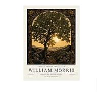 SSLDP LFHLI Manifesti della Mostra delle Piante William Morris Arte murale del Giardino Pittura e Stampe su Tela di William Morris Quadro di Arredamento casa 50x70cmx1 Senza Cornice