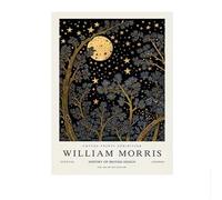 SSLDP LFHLI Manifesti della Mostra delle Piante William Morris Arte murale del Giardino Pittura e Stampe su Tela di William Morris Quadro di Arredamento casa 50x70cmx1 Senza Cornice