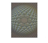 SSLDP LFHLI Manifesto della Mostra di Victor Vasarely, Illusione Ottica, Arte murale, Dipinto su Tela e Stampe di Victor Vasarely per la Decorazione della casa, 50x70 cm, Senza Cornice.