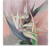 SSLDP LFHLI Poster di Georgia O'Keeffe, Uccello del Paradiso Bianco, Arte murale, Stampe di Georgia O'Keeffe, Dipinti su Tela Moderni, Decorazioni per la casa, Immagini 50x50cmx1 Senza Cornice