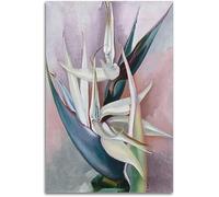 SSLDP LFHLI Poster di Georgia O'Keeffe, Uccello del Paradiso Bianco, Dipinto su Tela, Arte Moderna da Parete, Stampe di Georgia O'Keeffe per la Decorazione della Casa, Immagine 50x70cm Senza Cornice