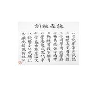 SSLDP LFHLI Poster di Kung Fu Cinese Wing Chun, Arte murale Vintage, Dipinto su Tela e Stampe di Kung Fu Cinese, Arredamento Moderno per la casa, Immagine 40x60cmx1 Senza Cornice