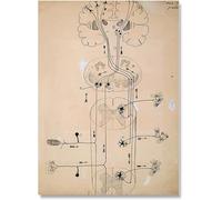 SSLDP LFHLI Poster e Stampe del Disegno del neurone di Santiago Ramon Y Cajal, Dipinto su Tela, Decorazione da Parete, 50x70 cm, Senza Cornice.
