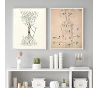 SSLDP LFHLI Poster e Stampe del Disegno del neurone di Santiago Ramon Y Cajal, Dipinto su Tela, Decorazione da Parete, 50x70cmx2 Senza Cornice