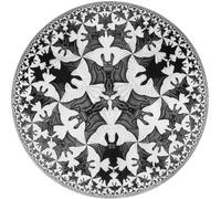 SSLDP LFHLI Poster in Bianco e Nero di M.C. Escher Grafica murale M.C. Escher Pittura e Stampe Decorazione della casa 60x60cm Senza Cornice