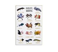SSOPTMCB Axolotl Morphs and Facts Canvas Art - Scientific Illustration of Leucistic, Melanoid, Albino Variants, Educational Decor for Biology Enthusiasts(Framed,08x12inch(20x30cm))