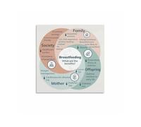 SSOPTMCB Celebrating Motherhood Nursing Poster - Breastfeeding Bonding Wall Art, Heartwarming Canvas Print for Nursery, Baby Room Decor(Framed,08x12inch(20x30cm))