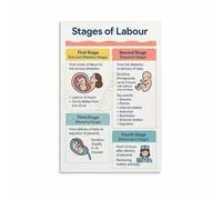 SSOPTMCB Childbirth Stages Timeline Poster Canvas Wall Decor Birth Education Art for Expecting Mother Shower Room Gift(Unframed,08x12inch(20x30cm))