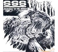 Sss - Problems To The Answer