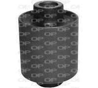 SSS1093.11 OPEN PARTS Supporto, Braccio oscillante per LAND ROVER