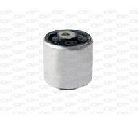 SSS1143.11 OPEN PARTS Supporto, Braccio oscillante per AUDI