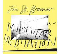 St Werner Jan - FAMILY EDITIONS MEG Molocular Meditation