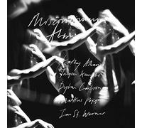 St. Werner, Jan - Miscontinuum