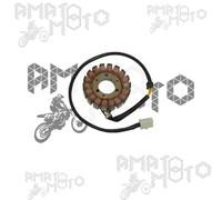 ST62039 STATORE PER HONDA SES DYLAN (JF10) 125 cc 2002-2004 (18 BOBINE)