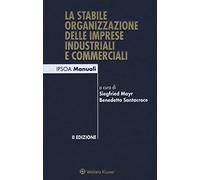 Stabile Organizzazione Delle Imprese Industriali E Commerciali