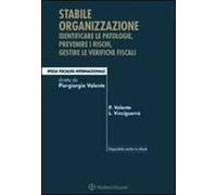 Stabile organizzazione. Identificare le patologie, prevenire i rischi, gestire le verifiche fiscali