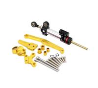 Stabilizzatore Ammortizzatore di Sterzo Per CB650R 2018-2021 Motociclette Regolabili Supporto Ammortizzatore Stabilizzatore Sterzo Tampone Stabilizzatore Motocicletta(Silver-B)