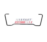 Originale FAST Stabilizzatrice Ammortizzatori FT15960 per Iveco