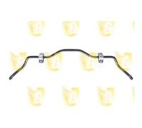 Stabilizzatore Autotelaio Unigom 460190 per Fiat