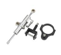 Stabilizzatore per ammortizzatore di sterzo per mo Per TIGER 900 GT RALLY Per Tiger 850 Staffa Di Montaggio Dell'ammortizzatore Stabilizzatore Dello Sterzo(Silver)