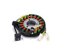 Stabilizzatore Tensione Motociclette Regolatore Tensione Raddrizzatore E Bobina Dello Statore Per Motocicletta Per Hyosung GT650R 2009 2010 2011 2012 2013 2014 2015(1*Stator)