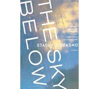 Stacey D'Erasmo The Sky Below (Tascabile)