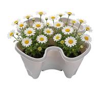 Stackable Planter Pots - Anti Slip Secure Drainage, Indoor Outdoor Plant Containers | Stackable Vegetable Pots With Construction, Gardening Solution Ideal Choice For Garden Yard Farm Patio Bal