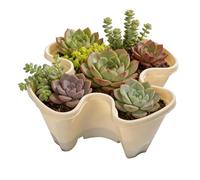 Stackable Planter Pots - Anti Slip Secure Drainage, Indoor Outdoor Plant Containers | Stackable Vegetable Pots With Construction, Gardening Solution Ideal Choice For Garden Yard Farm Patio Bal