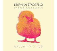 Stadtfeld, Stephan Large Ensemble - Caught in a Rug