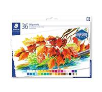Staedtler pastelli al oleo 2420 pacchetto di 36 cere morbide - resistenza di rottura - estremamente luminosa - colori ordinati