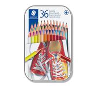 Staedtler Matite Colorate 36 Unità