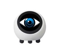 Staeekkzy Scheda di Sviluppo ESP32-S3 con Display LCD AI VOCE CHAT Robot Mini-Funzione Mini Ornamenti da Tavolo per Decorazioni per la Casa