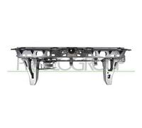 Staffa Centrale Paraurti Posteriore Per Bmw X5 - E70 Dal 2007 Al 2010 Bm8221055