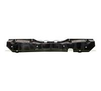 Staffa Centrale Paraurti Posteriore Per Renault Scenic (x-mod) Dal 2009 Al 2011
