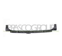 PRASCO TS3001055 Supporto, Paraurti